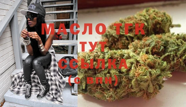 мдпв Верхний Тагил