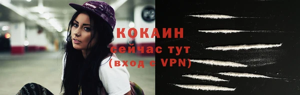 мдпв Верхний Тагил