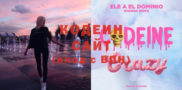 мдпв Верхний Тагил