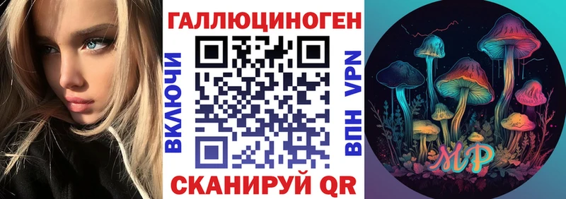 Псилоцибиновые грибы Psilocybine cubensis  Сыктывкар 